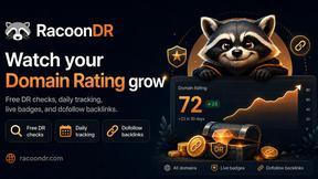 RacoonDR - tool for SEO